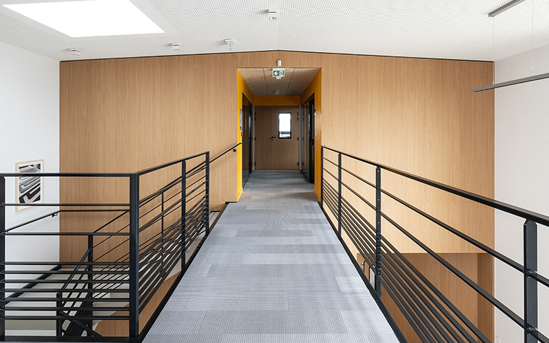 Complete wall in office with natural Master Oak