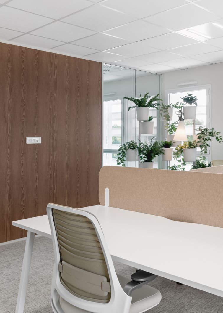 Vintage vibes in the offices of Synappse