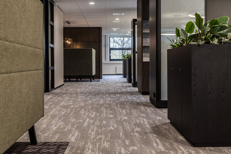 Plants add a warm touch to the stylish ensemble