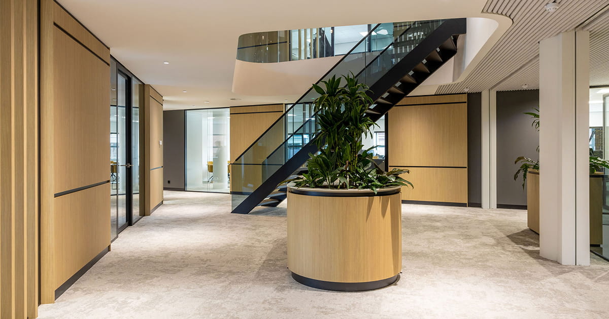 Interior shot with Master Oak panels in office space